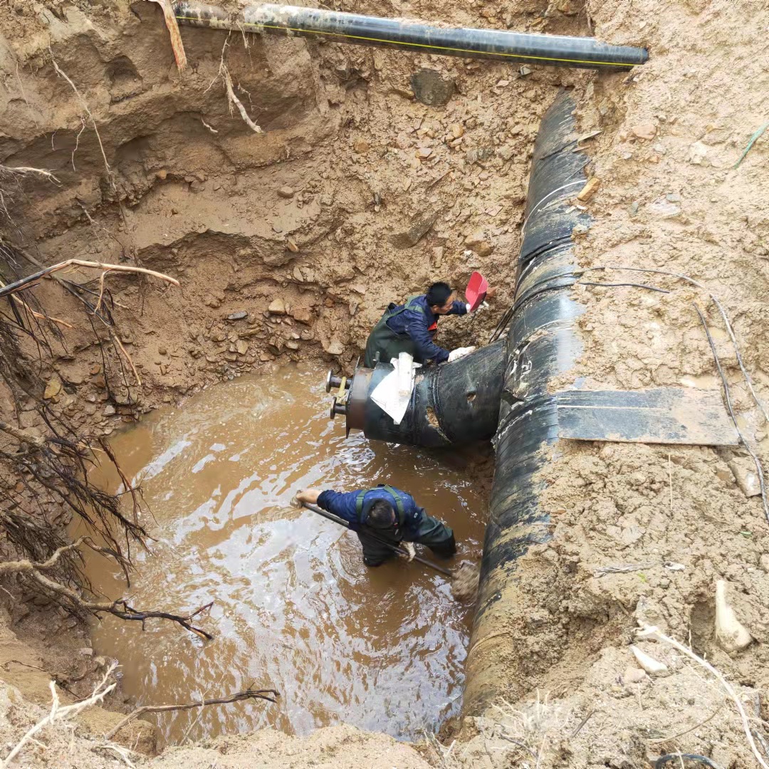 1646221052209727.jpg 65876f9982112552d520afdd314ca09.jpg