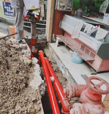 1647227470348949.jpg t019a27b0e84658a33a.jpg