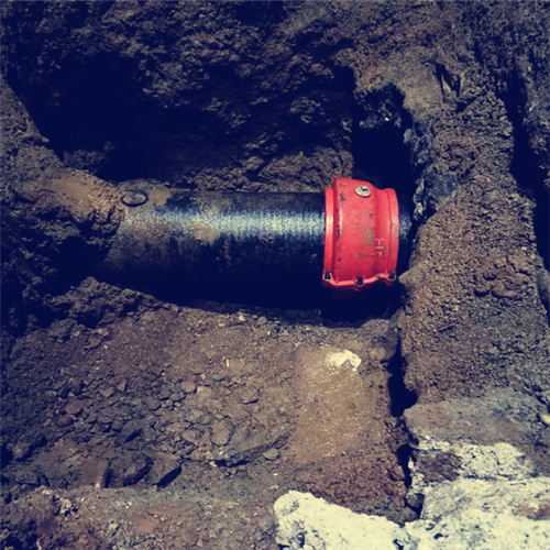 1647414140383163.png 910cab3e9032ef0dc60815c9588b31b.png