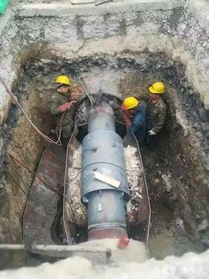 1647665714685643.jpg t018f5e369d2c928b13.jpg