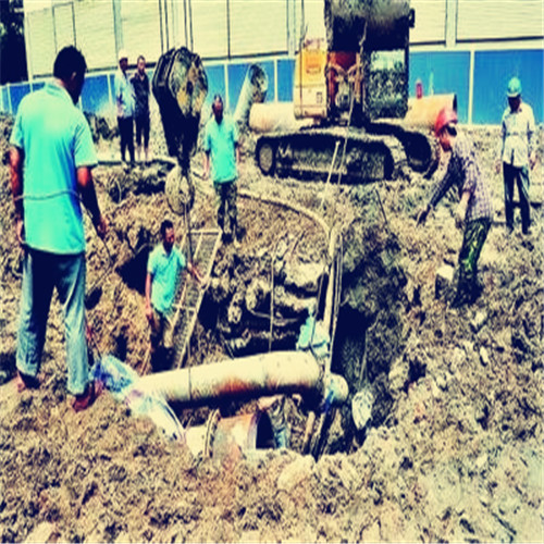 1652577016728982.jpg t01c94d99db691df219.jpg